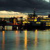 Profile Picture of wallace_glen (@wallace_glen) on Flickr