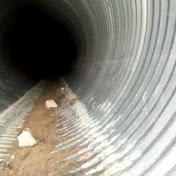 Profile Picture of David Heinsen (@TheRandomgangsters) on Youtube