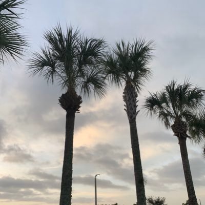 Profile Picture of Jen Lindquist (@j4bago) on Twitter