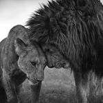 Profile Picture of Alvaro Valladares (@alvarovalladares4) on Instagram