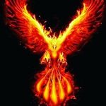 Profile Picture of paul_13_20 (@paul.joshua.gerhardt) on Instagram