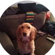 Profile Picture of Daniel D’sylva (@DanielDsylva5) on Twitter