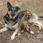 Profile Picture of John Frost (@johnfrost8820) on Youtube