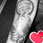 Devin Milton - Instagram Profile Picture of Devin Milton (@devin.milton.77377) on Instagram