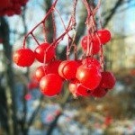 Profile Picture of Milburn (@milburneugene) on Instagram