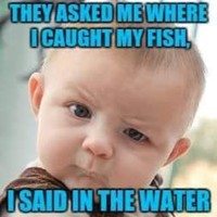 Profile Picture of Troy Gabriel (@troy-gabriel-3) on Quora