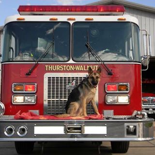 Profile Picture of Joshua Friesner (@jfriesner1) on Facebook