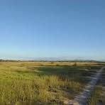 Profile Picture of Carlos Sánchez (@Carlos-Sánchez) on Facebook