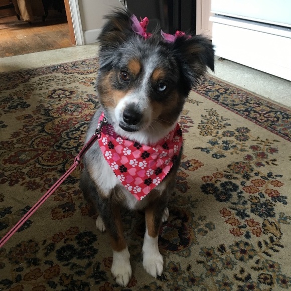 Profile Picture of Rosalee Lloyd (@rosiecalvert) on Poshmark