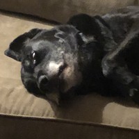 Profile Picture of Bianca Gaspar (@bianca-gaspar-1) on Quora