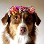 Profile Picture of Bailey Roach (@baileyroacher.100) on Instagram