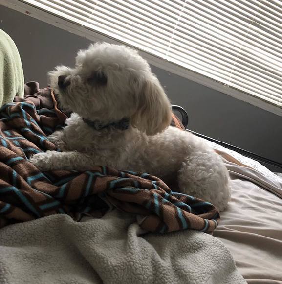 Profile Picture of Jonathan Esquivel (@jonathaesquivel) on Poshmark