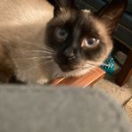 Profile Picture of Larry Pankau (@Larry-Pankau) on Facebook