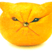 Howie Snow - Twitter Profile Picture of Howie Snow (@yaknowsit) on Twitter