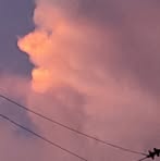 Andrene Barrett - Facebook Profile Picture of Andrene Barrett (@Andrene-Barrett) on Facebook