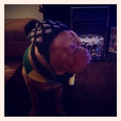 Profile Picture of Mandy Hackett (@Mandyhackett) on Twitter