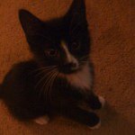 Profile Picture of Kimmy (@pikerrtyh) on Instagram