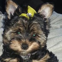 Profile Picture of Frieda Wagner (@friedaariel) on Pinterest