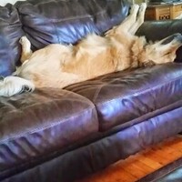 Robin Ferrara - Quora Profile Picture of Robin Ferrara (@robin-ferrara) on Quora