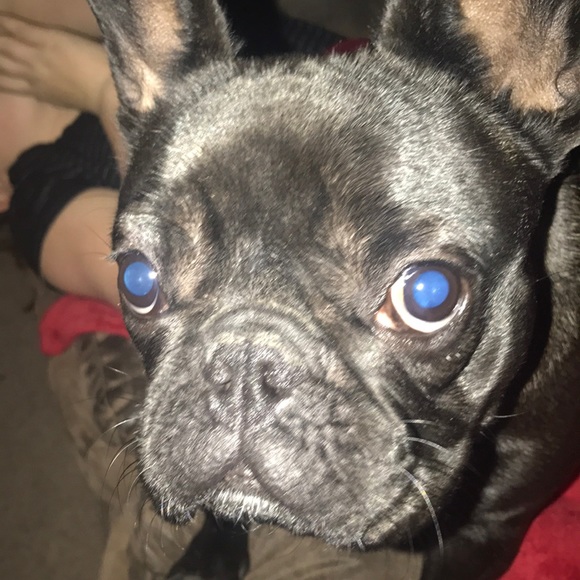 Profile Picture of Jake Kelley (@dothehotdogway) on Poshmark