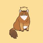 Profile Picture of Pippin's Inn Airbnb (@pippins_inn_airbnb) on Instagram