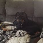 Profile Picture of Ellis Marshall Cain (@batmancain) on Instagram