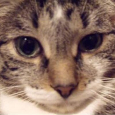 Profile Picture of Mary Krusky (@Crayons_Rock) on Twitter