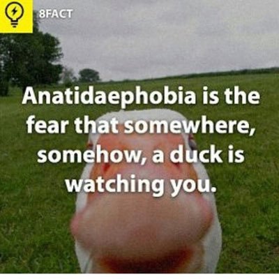 Profile Picture of Thomas Maurer-Kelson (@Kelsojnr) on Twitter