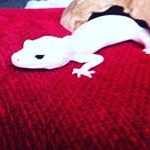 Profile Picture of Brandon Garside (@_brandongarside_) on Instagram