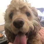 Profile Picture of Charles Xavier Kramer (@charles.barkley16) on Instagram