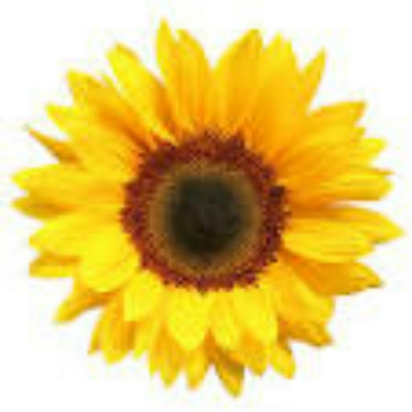 Profile Picture of Lisa Brummel (@lisabrummel) on Poshmark