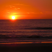 Profile Picture of Janet Cook (@jscinslp) on Youtube