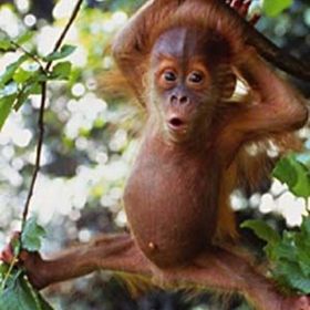 Jason White - Pinterest Profile Picture of Jason White (@jgwcna1) on Pinterest