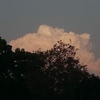 Profile Picture of No_Man (@@brian_constablee) on Tiktok