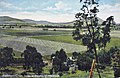 Profile Picture of Freestone, Queensland - Wikipediaon Wikipedia