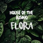 Profile Picture of House Plants 🌱 (@houseoftherisingflora) on Instagram