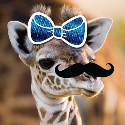 Profile Picture of Lucy :) (@LucyDriver13) on Twitter