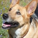 Profile Picture of Marcy Helm (@marcyhelm) on Instagram