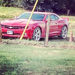 Profile Picture of Stephen ojeda moreno jr (@stephenojedamoreno) on Instagram