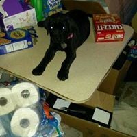 Profile Picture of David Wessel (@david-wessel-5) on Quora