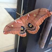 Profile Picture of Lois Shives (@lois-shives) on Quora