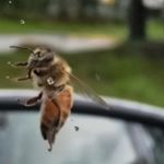 Profile Picture of Hunter Wiley (@reacting_slowly) on Instagram