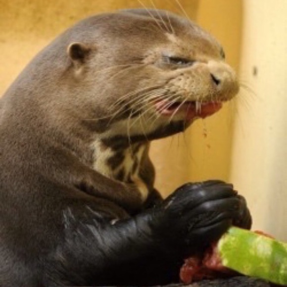 Profile Picture of Connor Gilbert (@cgil57) on Poshmark