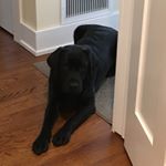 Profile Picture of jesse.gleason83 (@jesse.gleason83) on Instagram
