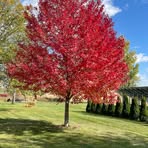 Profile Picture of Brad Earle (@Brad-Earle) on Facebook