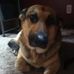 Profile Picture of Mary Weimer (@mary.weimer1) on Facebook