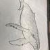 Profile Picture of Brandon Keyser (@brandon.keyser.7712) on Facebook