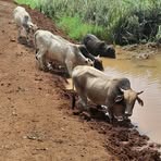 Profile Picture of Carlis Halles (@Carlis-Halles) on Facebook