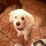 Profile Picture of Monika Rivera (@monika.rivera.359) on Instagram