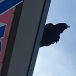 Profile Picture of Rick Nance (@nance4334) on Instagram